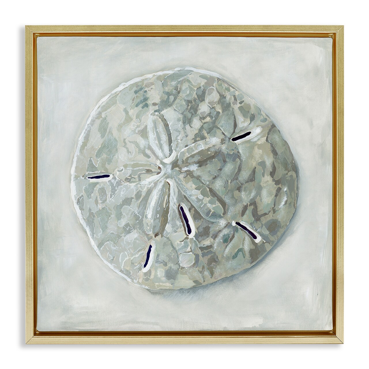 Stupell Industries Grey Sand Dollar Seashell Framed Floater Canvas Wall Art